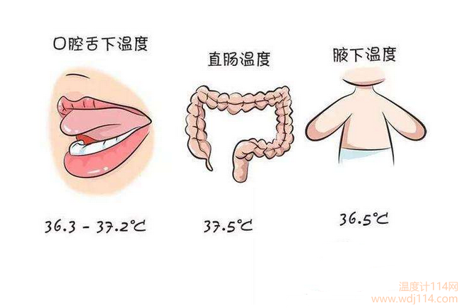 紅外線(xiàn)溫度計測哪較準？