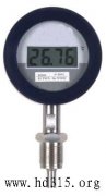 數字溫度計(RS-485數字通信接口，-50 ~ 500℃，防振防爆)型號:MN3/DTR100庫號:M39394
